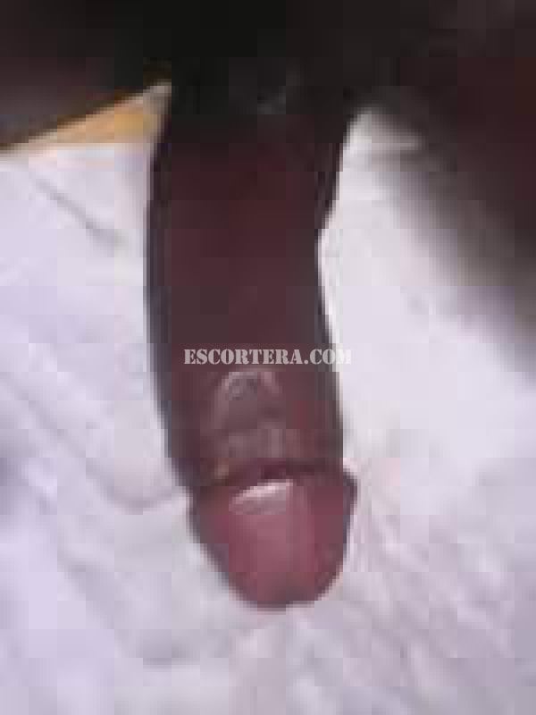 escorts - ShemalleBlack - Portugal - Braga - 915270286 - 4